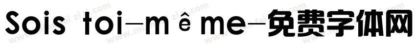Sois toi-même字体转换